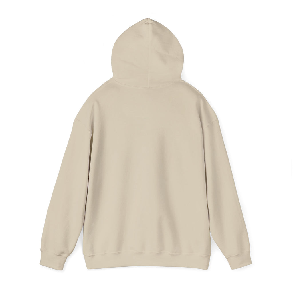 DioryLuxe Soft Touch Hoodie