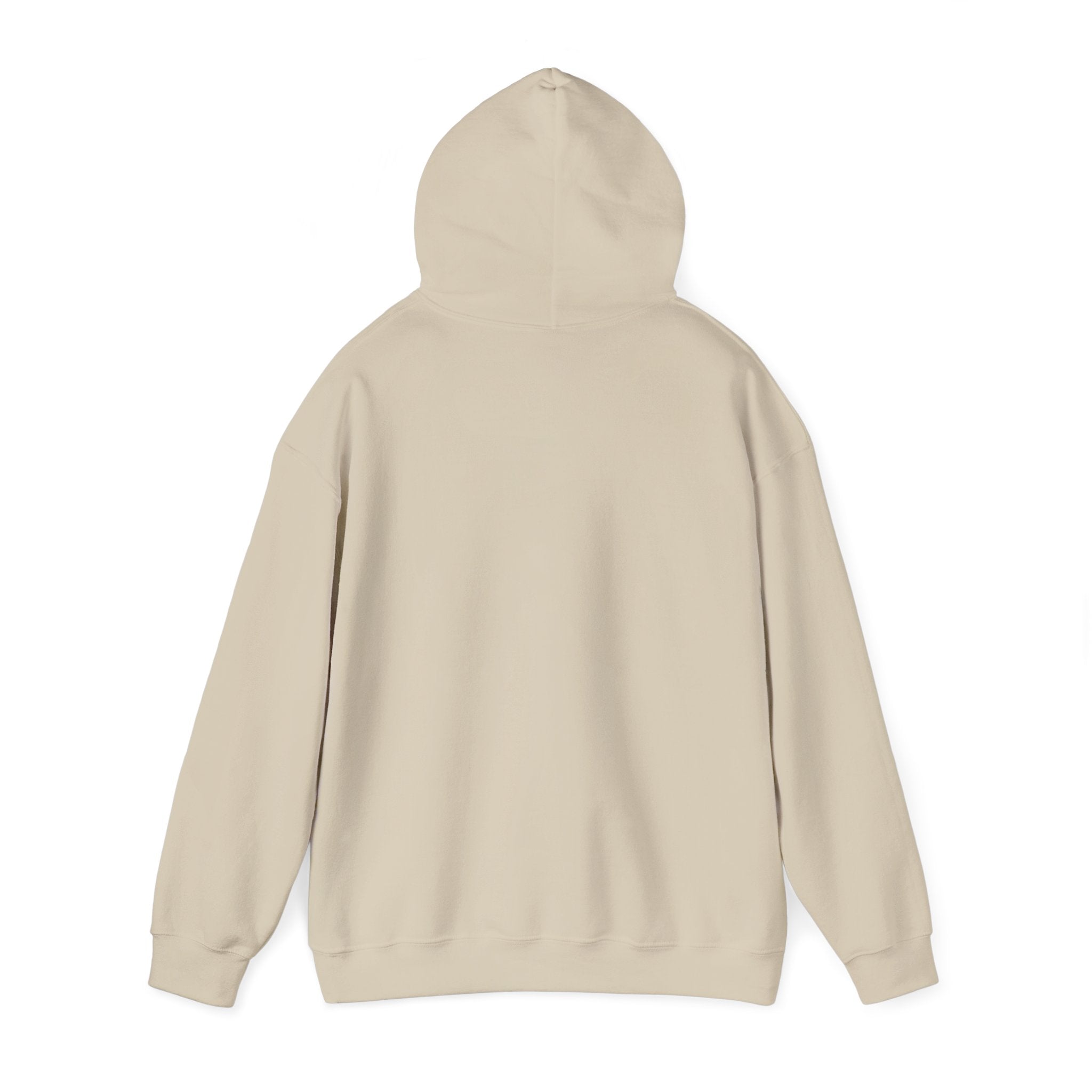 DioryLuxe Soft Touch Hoodie
