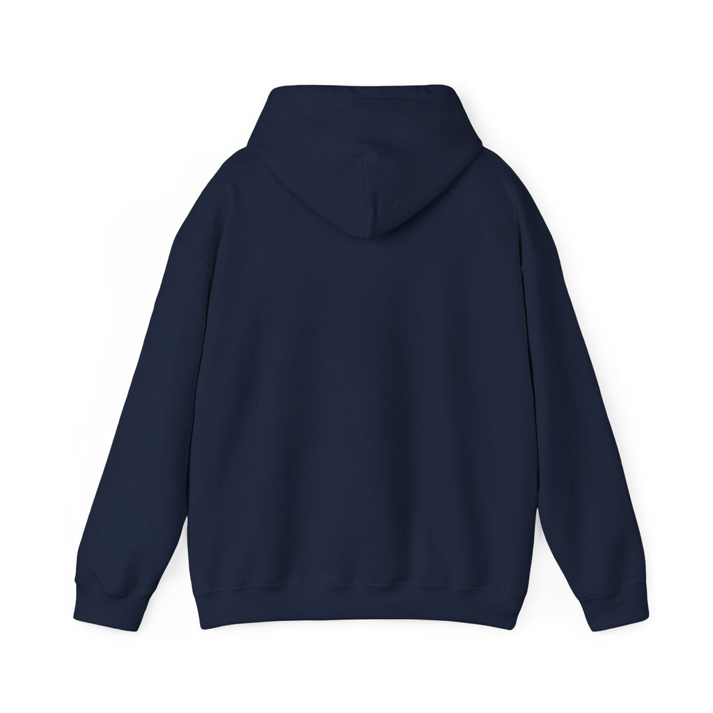 DioryLuxe Soft Touch Hoodie