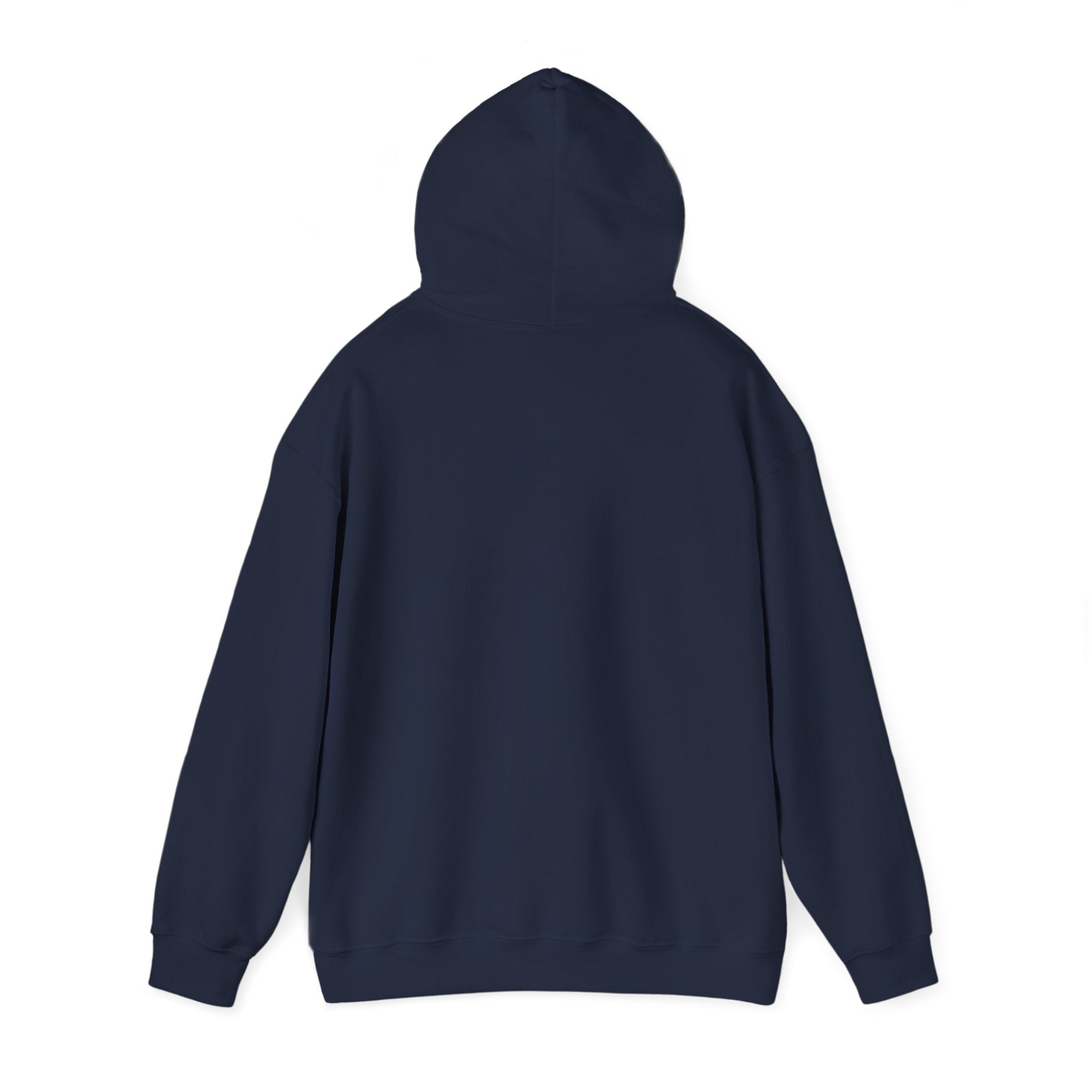 DioryLuxe Soft Touch Hoodie