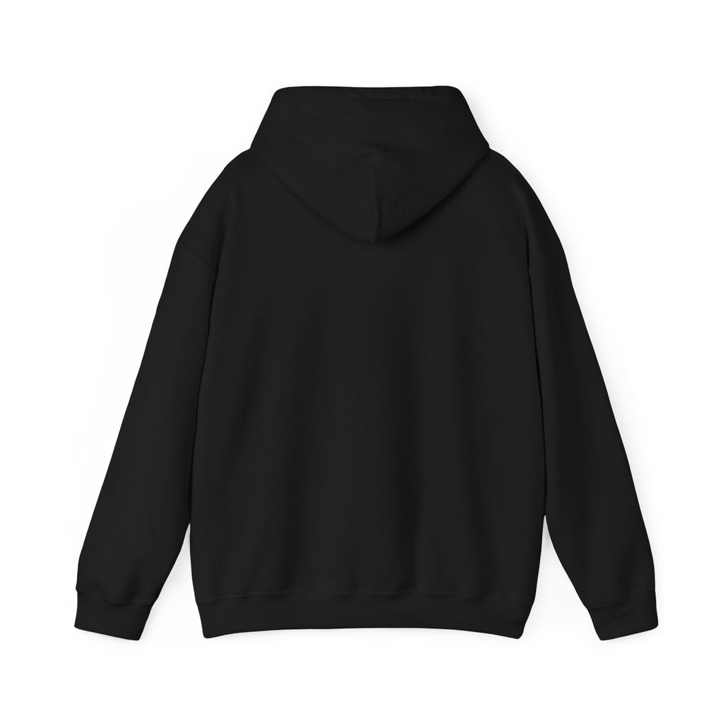 DioryLuxe Soft Touch Hoodie